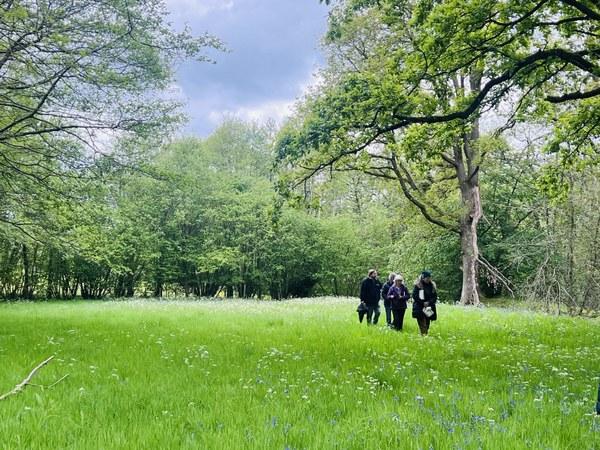 The Wellbeing Glade at The Bridge